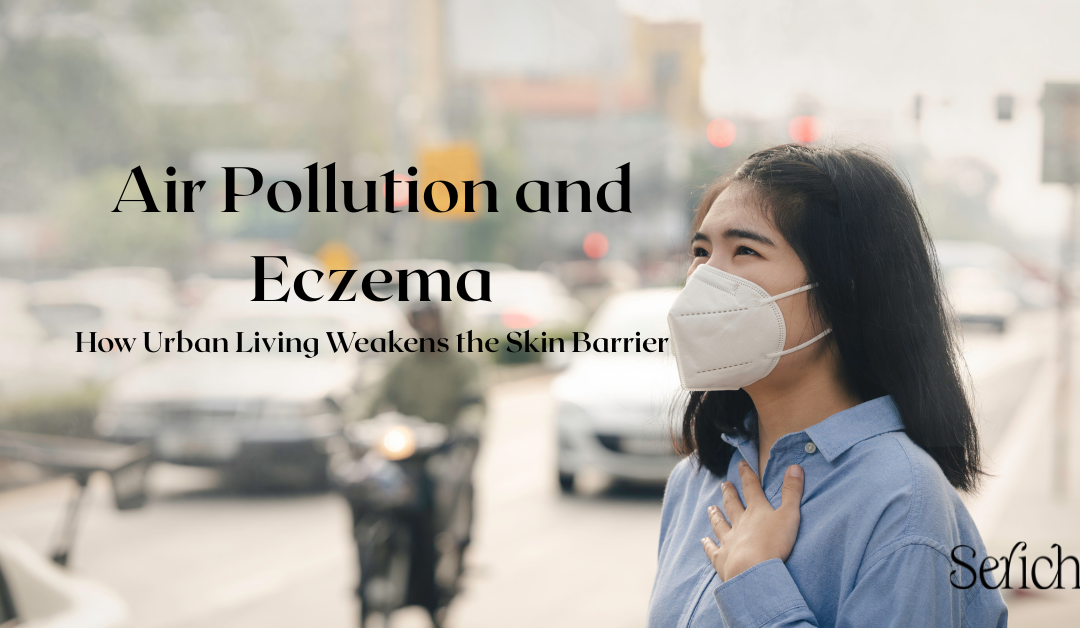 air pollution and eczema skin barrier